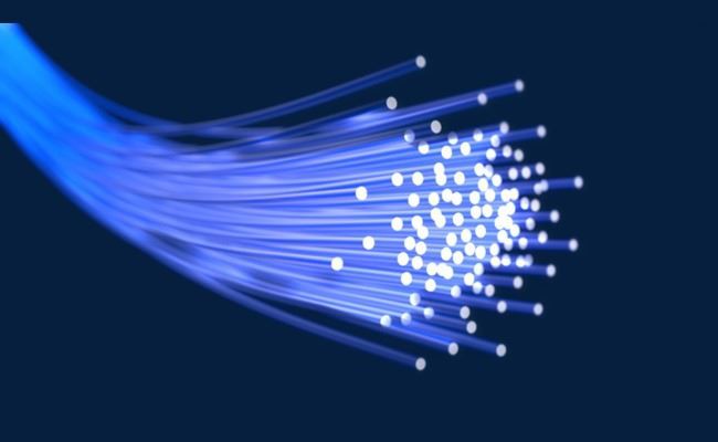 Fiber