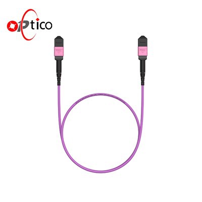 16F MPO-MPO Γυναικείο καλώδιο κορμού Customable SM MM